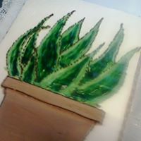 12239247_724036834295215_7432407935054032156_o