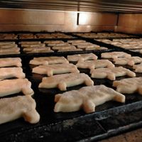 138623623_3166126663419541_6323324834912299655_n