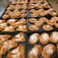 145985622_3221334994565374_6370592957425282434_n